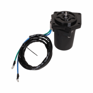 Yamaha Tilt Trim Motor Assembly