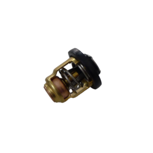 Yamaha Thermostat 50°C