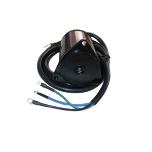 Johnson Evinrude Trim Pump