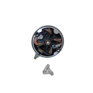 Starter Repair Kit (V6)